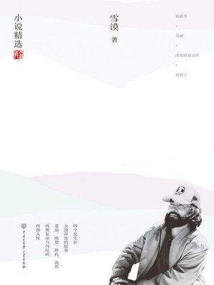 cover image of 雪漠小说精选